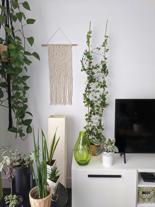 Belysningens betydelse i hemmet